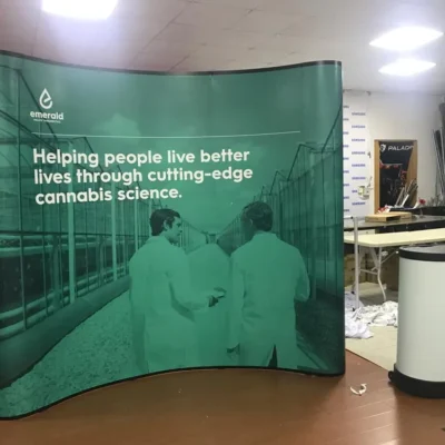 Magnetic Curve Backdrop